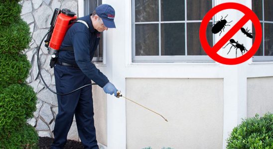 Kadışehri Böcek ve Haşere İlaçlama böcek ilaçlama ve haşere kontrolü — ilaclama-tr.com
